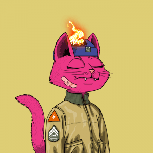 Space Explorer #808